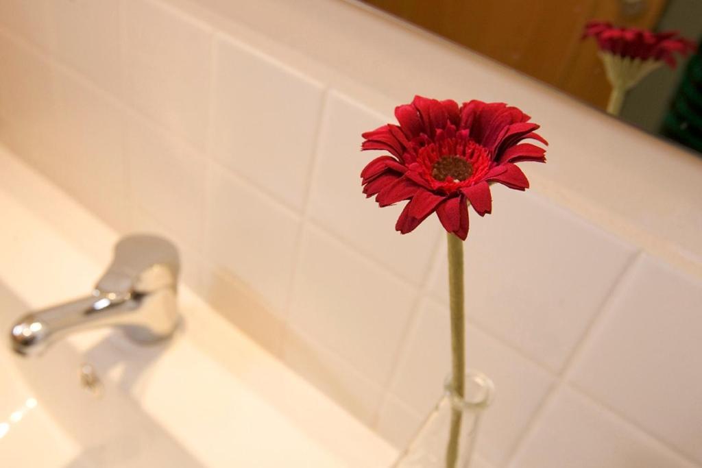 Apartaments Rural Montseny Gualba de Dalt Eksteriør bilde