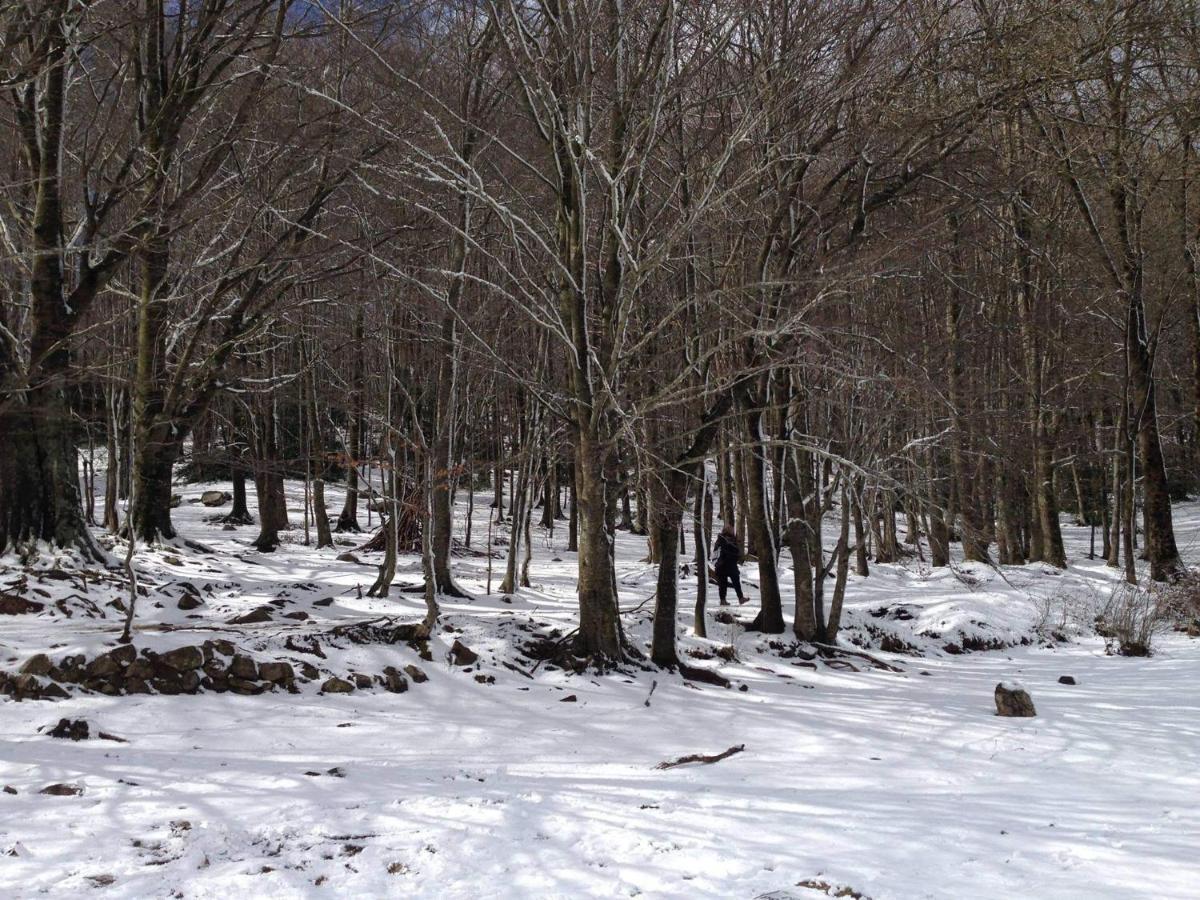 Apartaments Rural Montseny Gualba de Dalt Eksteriør bilde