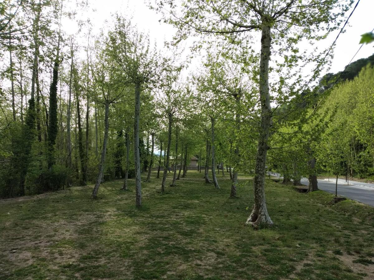 Apartaments Rural Montseny Gualba de Dalt Eksteriør bilde